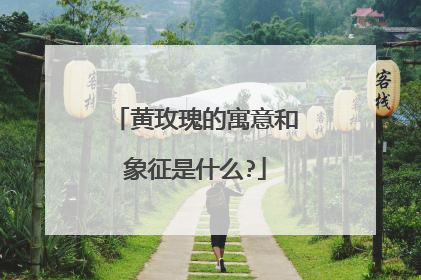 黄玫瑰的寓意和象征是什么?