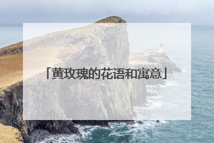 黄玫瑰的花语和寓意