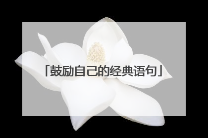 鼓励自己的经典语句