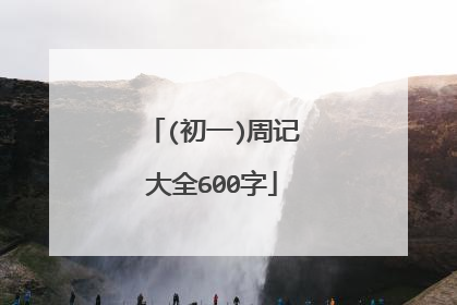 (初一)周记大全600字