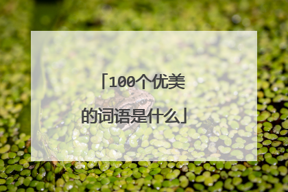 100个优美的词语是什么