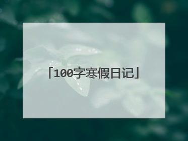 100字寒假日记