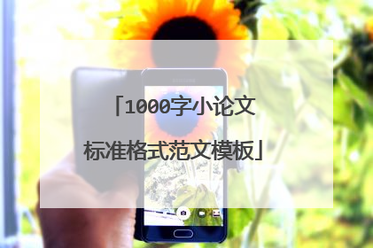 1000字小论文标准格式范文模板