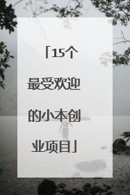 15个最受欢迎的小本创业项目