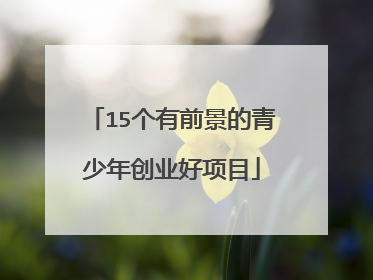 15个有前景的青少年创业好项目