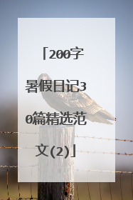 200字暑假日记30篇精选范文(2)