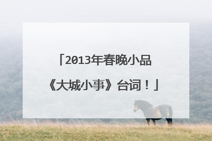 2013年春晚小品《大城小事》台词！