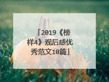 2019《榜样4》观后感优秀范文10篇