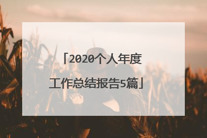 2020个人年度工作总结报告5篇