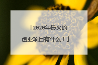 2020年最火的创业项目有什么！