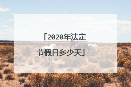 2020年法定节假日多少天