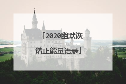 2020幽默诙谐正能量语录