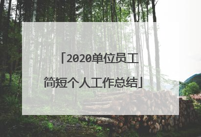 2020单位员工简短个人工作总结