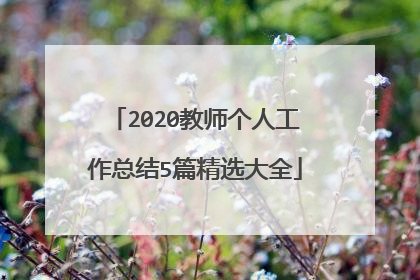 2020教师个人工作总结5篇精选大全