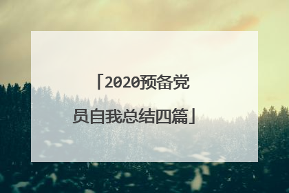 2020预备党员自我总结四篇