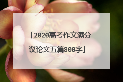 2020高考作文满分议论文五篇800字