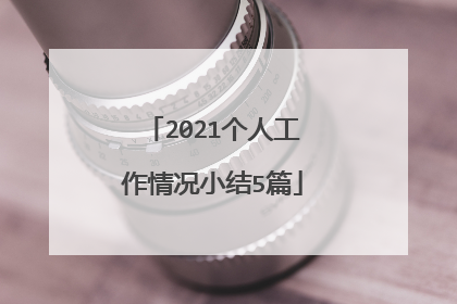 2021个人工作情况小结5篇