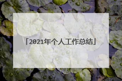 2021年个人工作总结