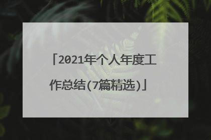 2021年个人年度工作总结(7篇精选)