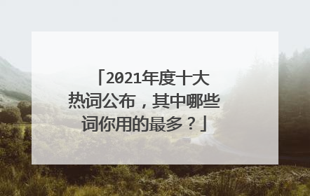 2021年度十大热词公布，其中哪些词你用的最多？