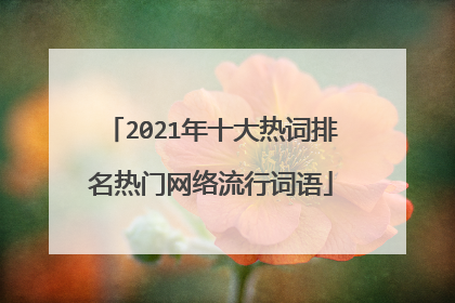 2021年十大热词排名热门网络流行词语