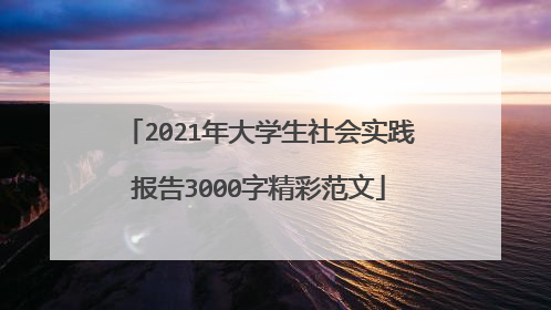2021年大学生社会实践报告3000字精彩范文