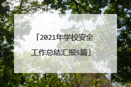 2021年学校安全工作总结汇报5篇