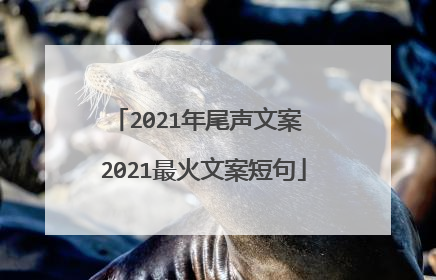 2021年尾声文案 2021最火文案短句