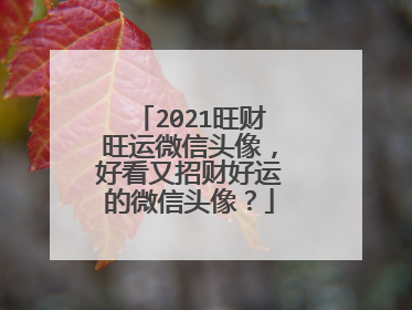 2021旺财旺运微信头像，好看又招财好运的微信头像？