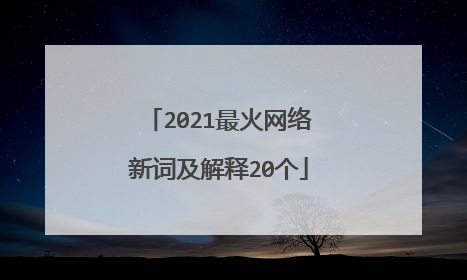 2021最火网络新词及解释20个