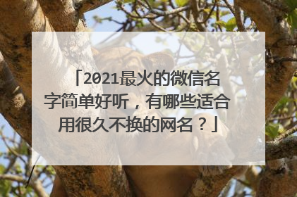 2021最火的微信名字简单好听，有哪些适合用很久不换的网名？