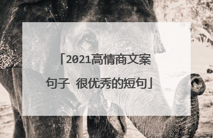 2021高情商文案句子 很优秀的短句