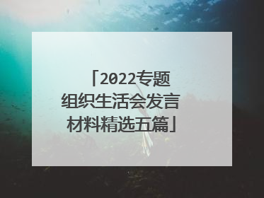2022专题组织生活会发言材料精选五篇