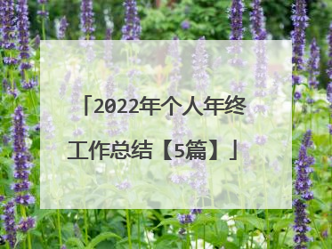 2022年个人年终工作总结【5篇】
