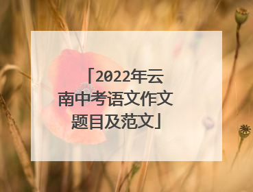 2022年云南中考语文作文题目及范文