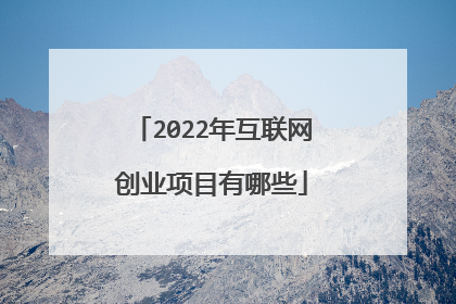 2022年互联网创业项目有哪些