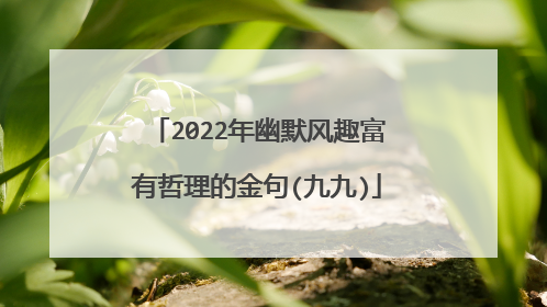 2022年幽默风趣富有哲理的金句(九九)