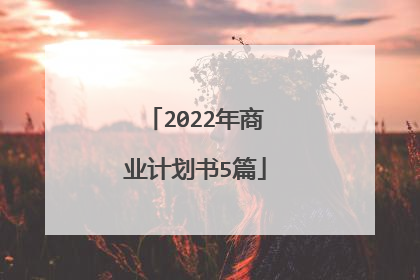 2022年商业计划书5篇