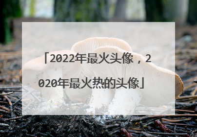 2022年最火头像，2020年最火热的头像