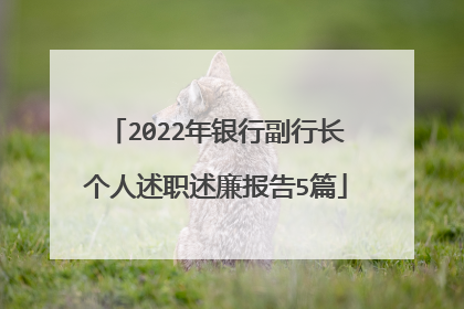 2022年银行副行长个人述职述廉报告5篇