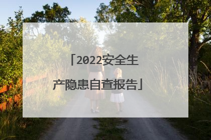 2022安全生产隐患自查报告