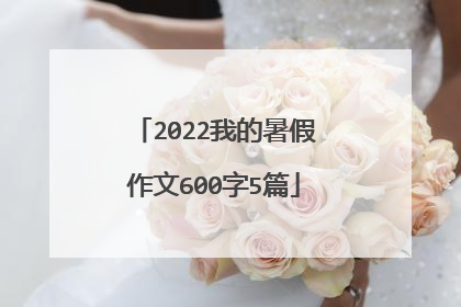 2022我的暑假作文600字5篇