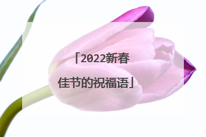 2022新春佳节的祝福语