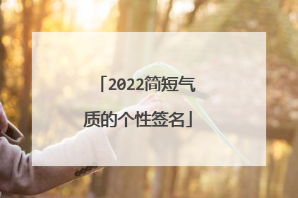2022简短气质的个性签名