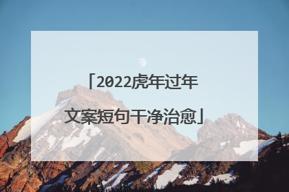 2022虎年过年文案短句干净治愈