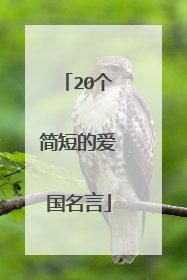 20个简短的爱国名言