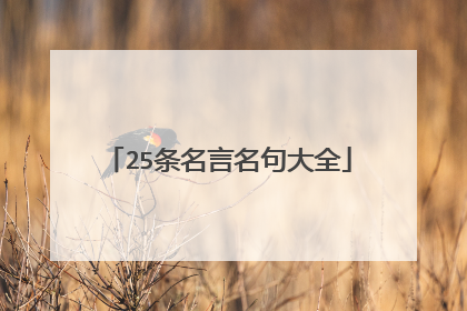 25条名言名句大全