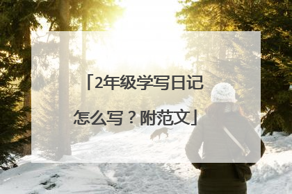 2年级学写日记怎么写？附范文