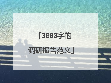 3000字的调研报告范文