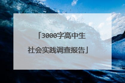 3000字高中生社会实践调查报告